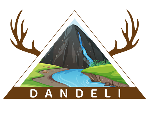 Dandeli Kali RIver Stay